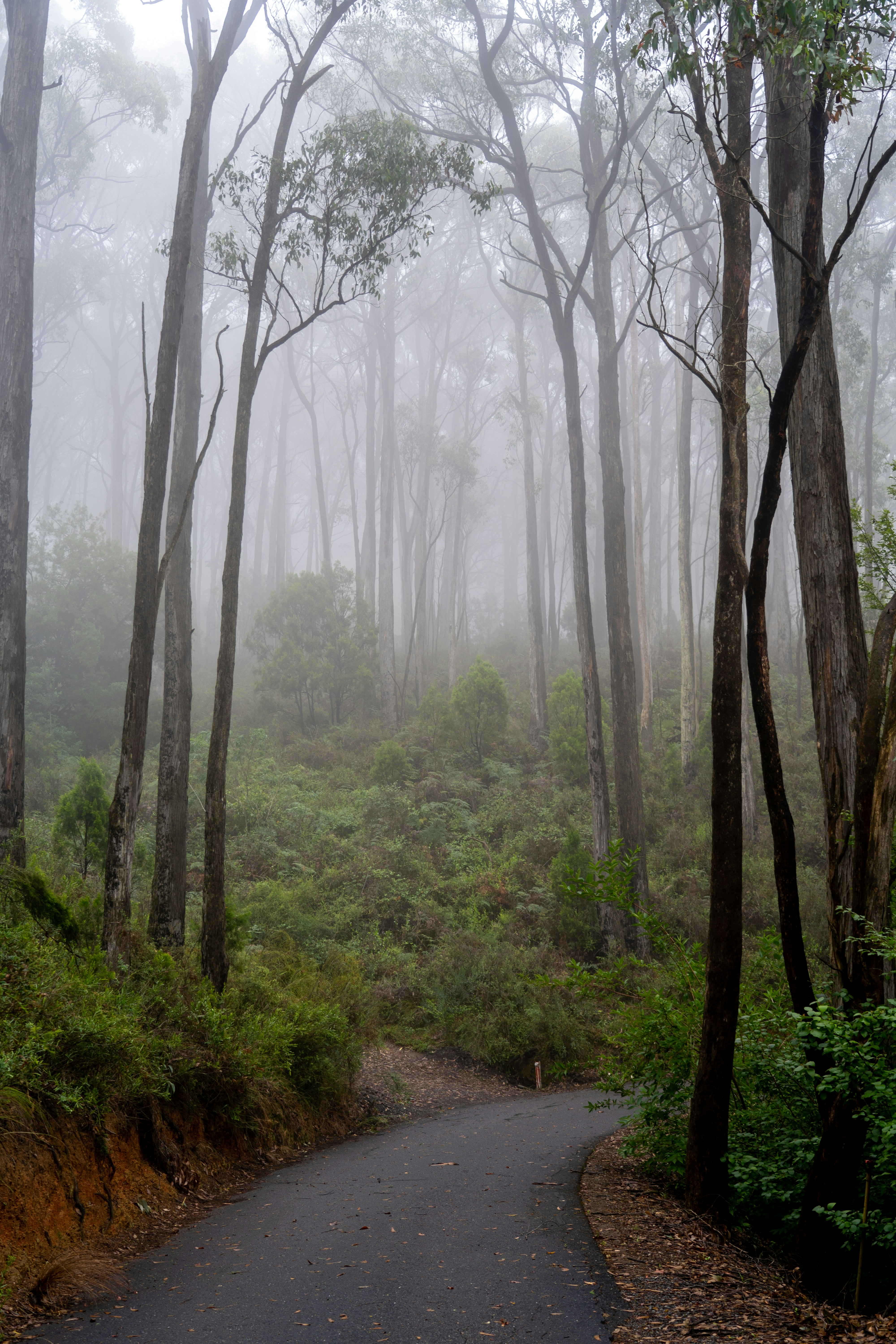 Photo by codydoesphoto