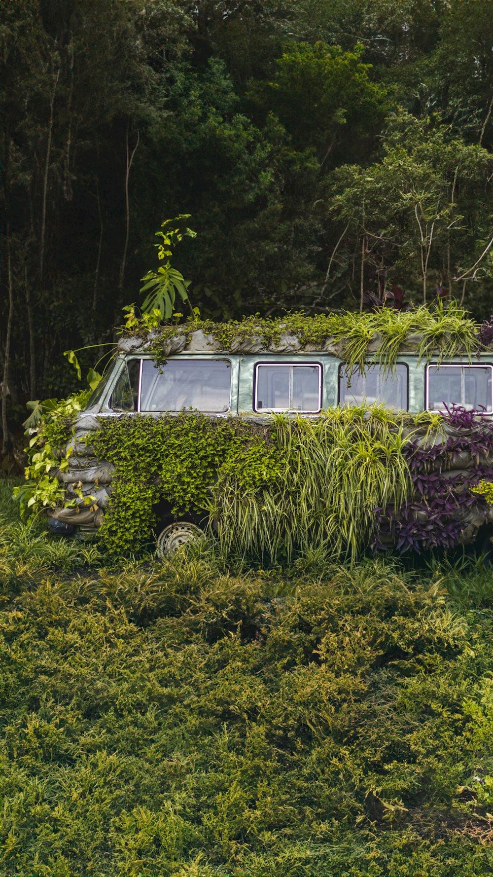 an old bus covered in plants in a field