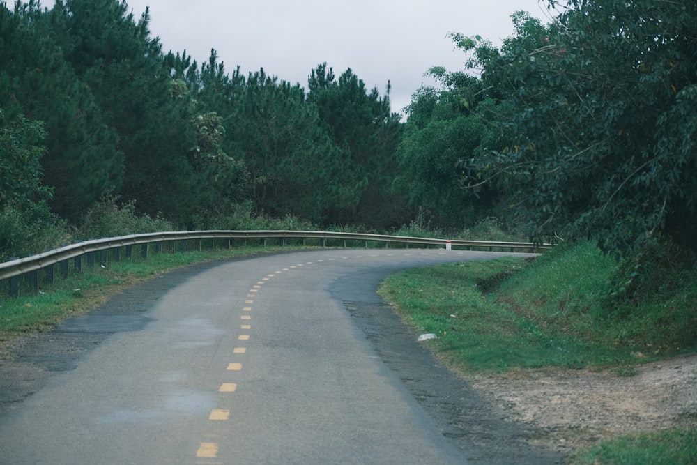 a curved road in the middle of a forest