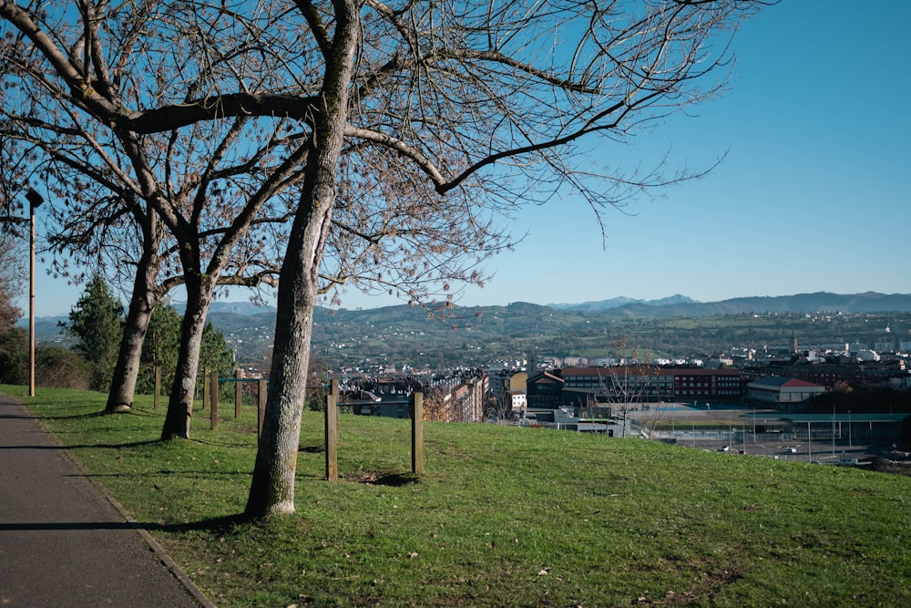 a view of a city from a park bench