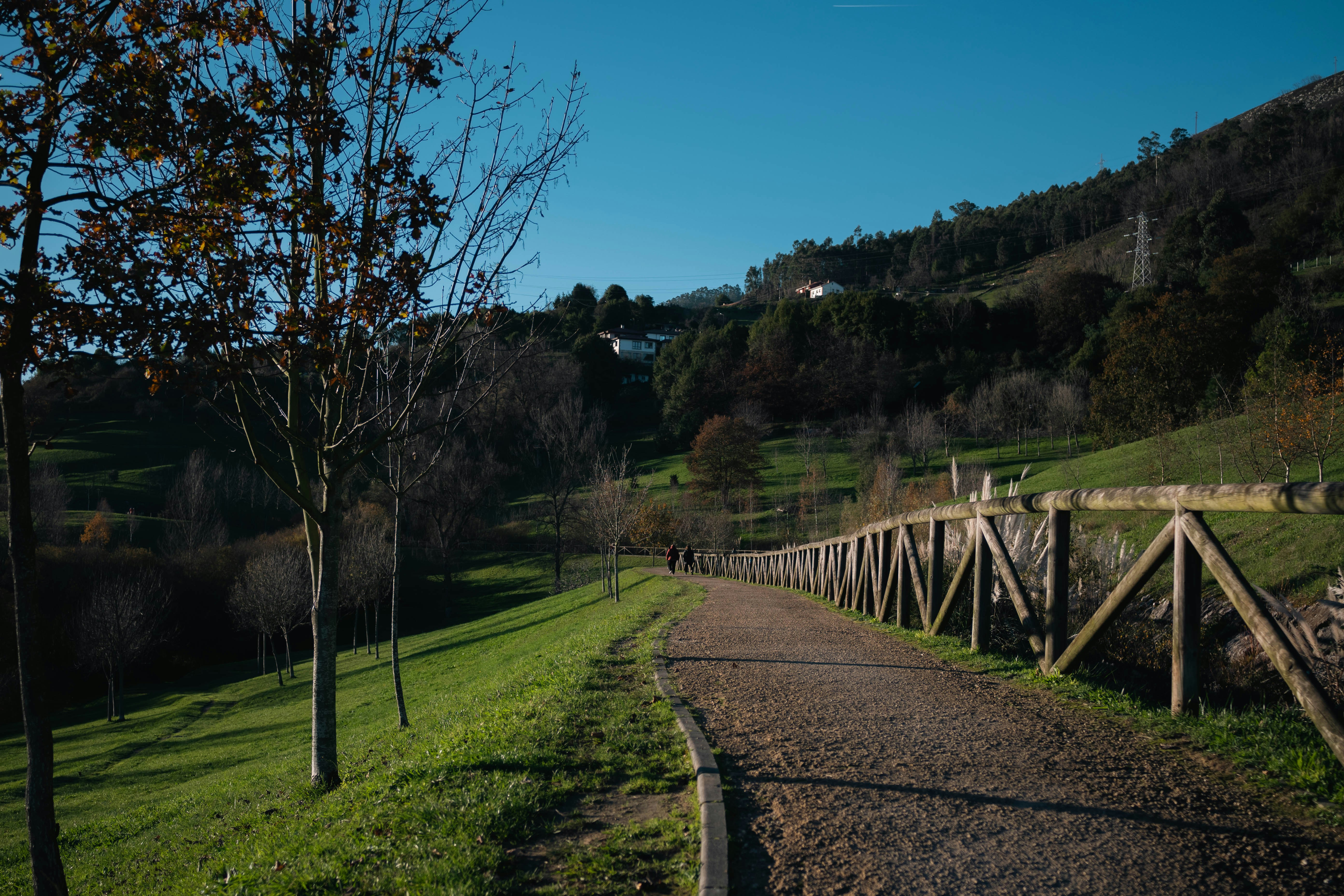 Photo by martynovych