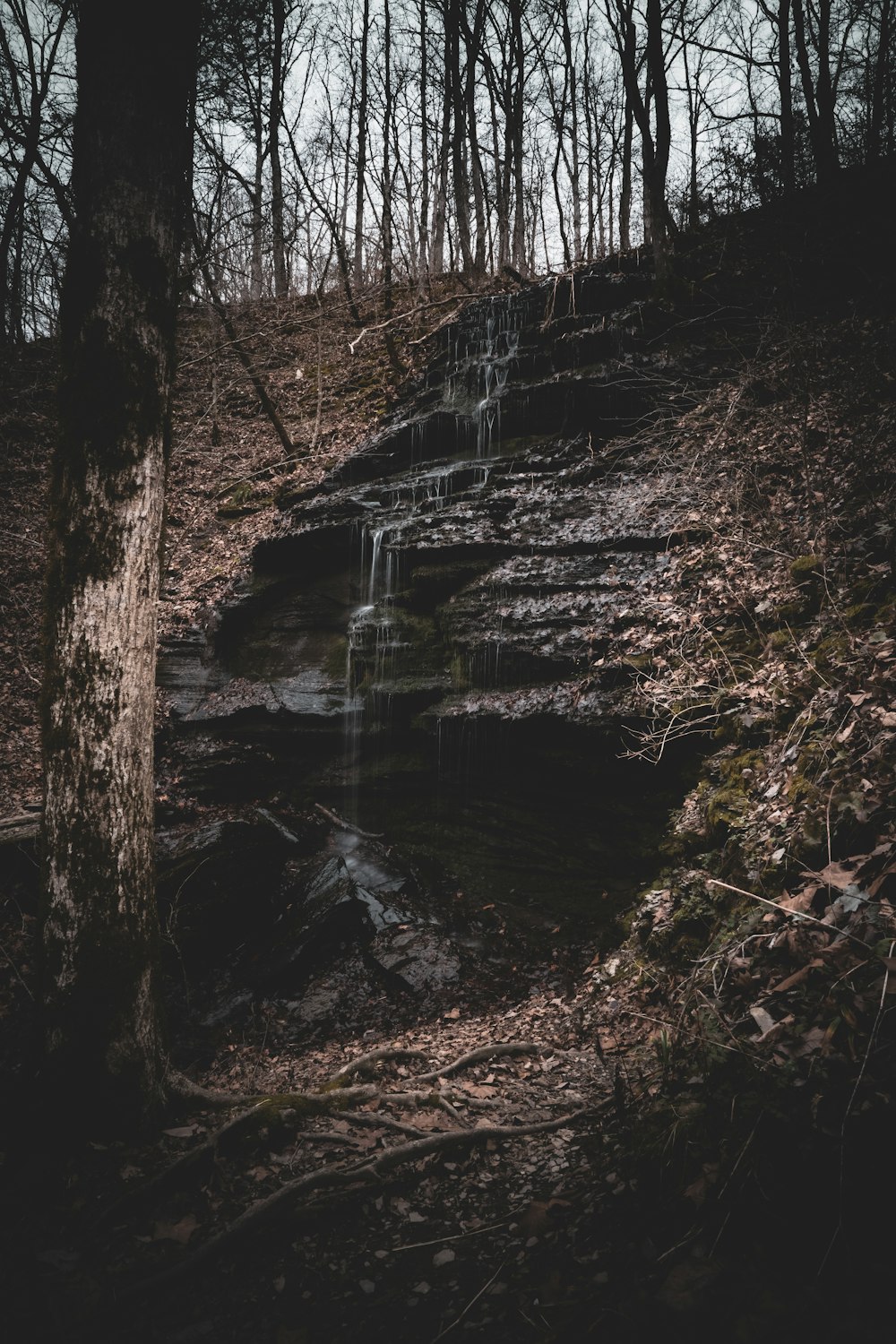 a small waterfall in the middle of a wooded area