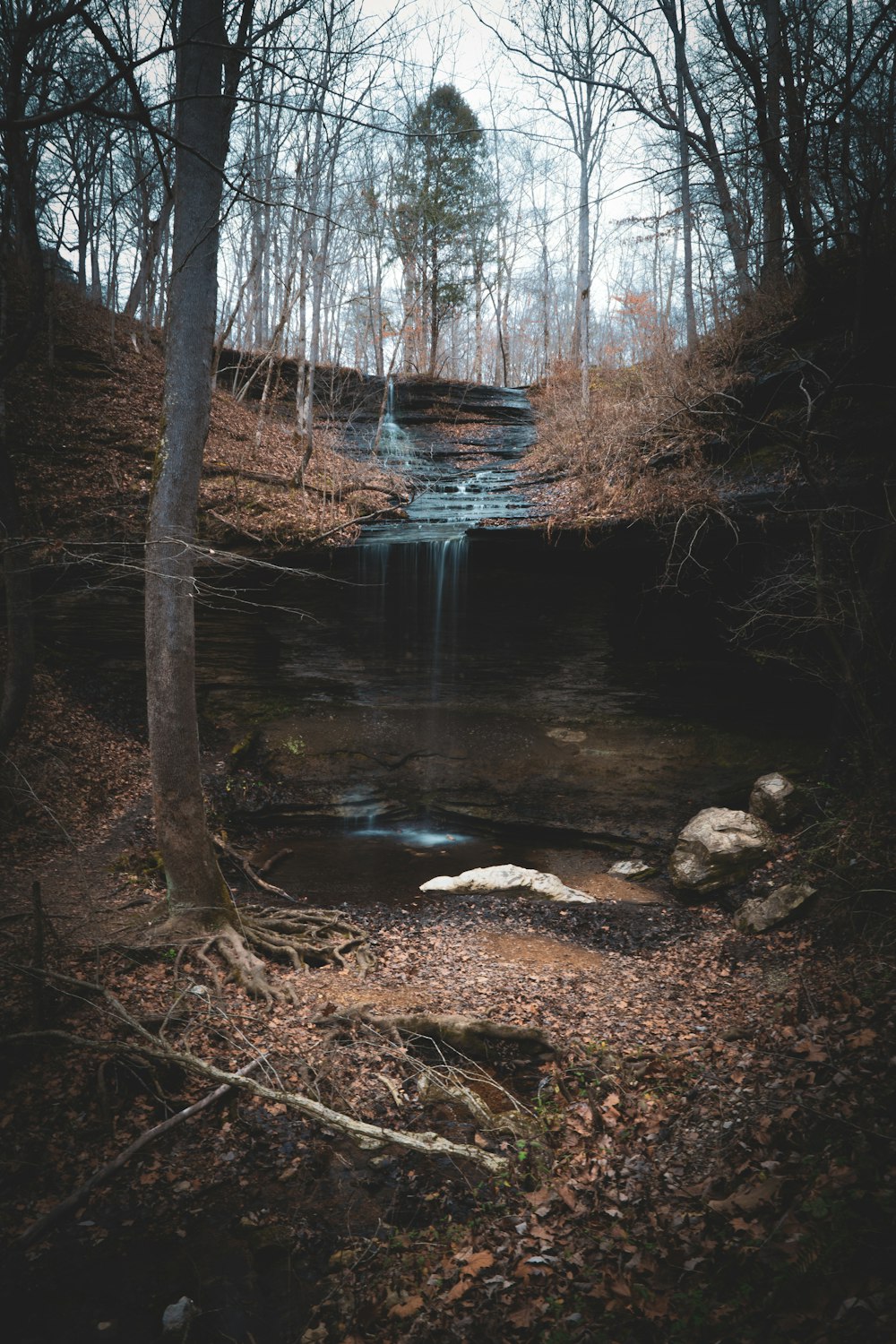 uma pequena cachoeira no meio de uma floresta