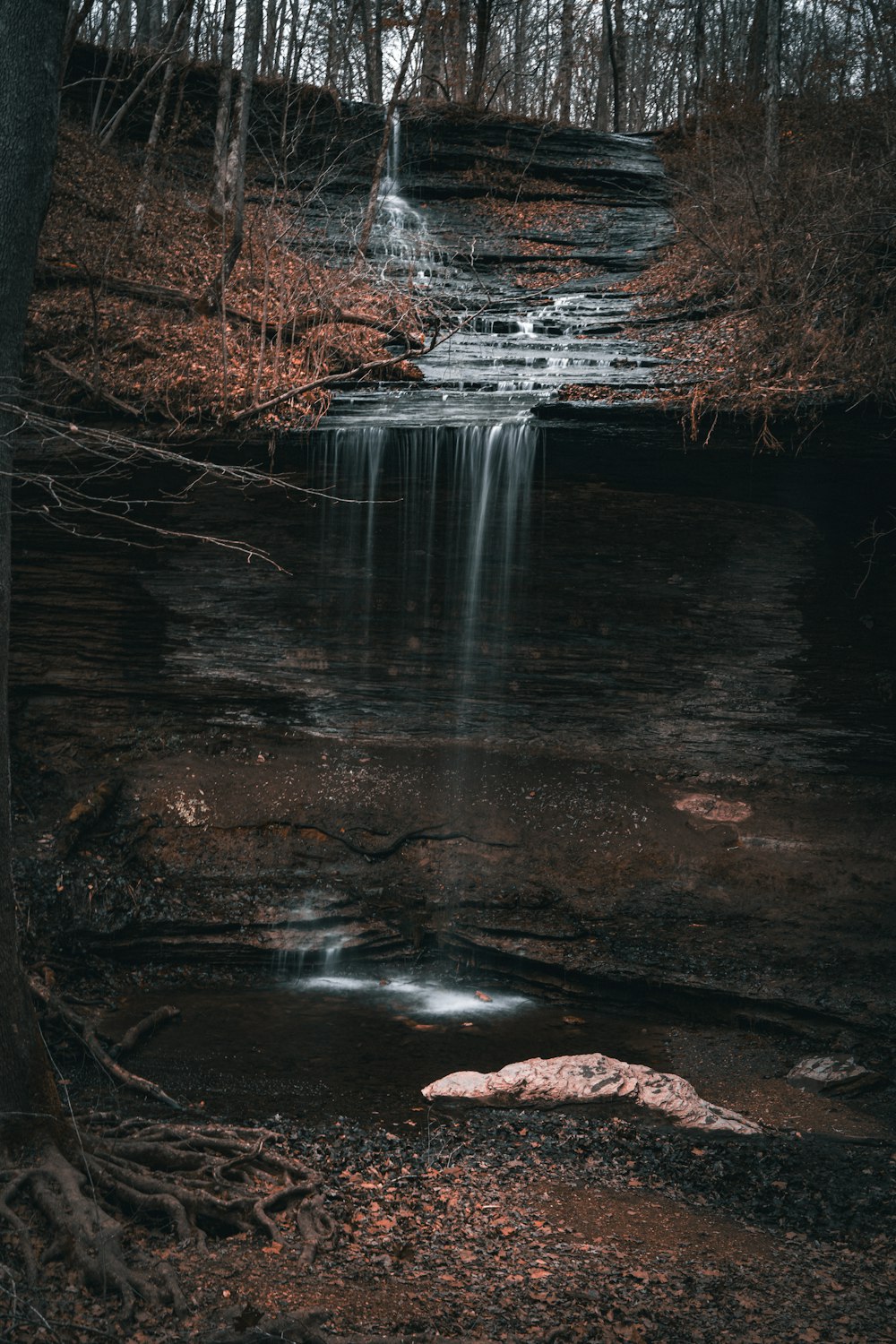 a stream running through a forest filled with trees