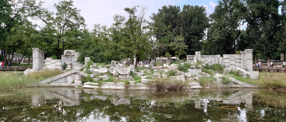 a pond in a park filled with lots of trees