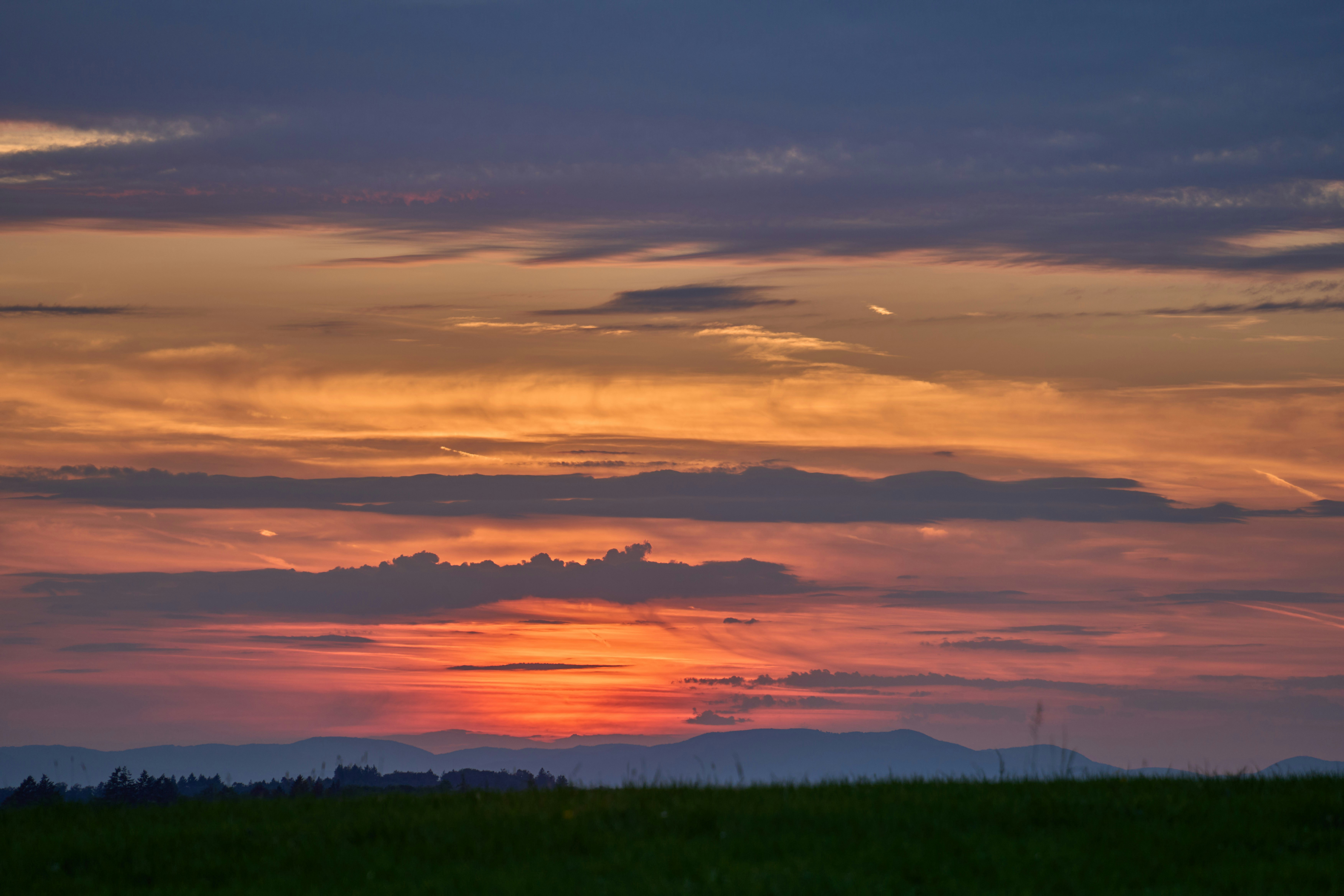 Photo by wolfgang_hasselmann