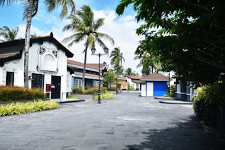 a street lined with palm trees and buildings