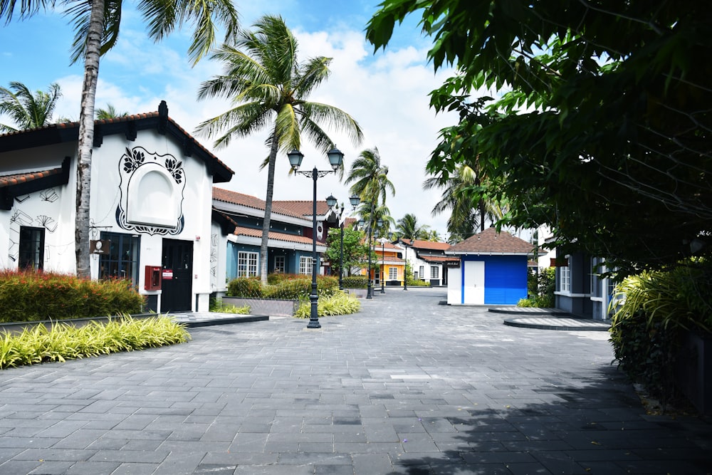 a street lined with palm trees and buildings