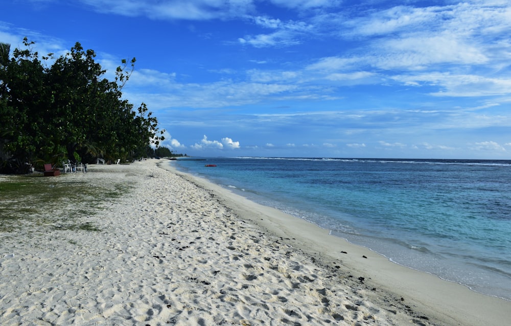 a sandy beach with clear blue water on a sunny day