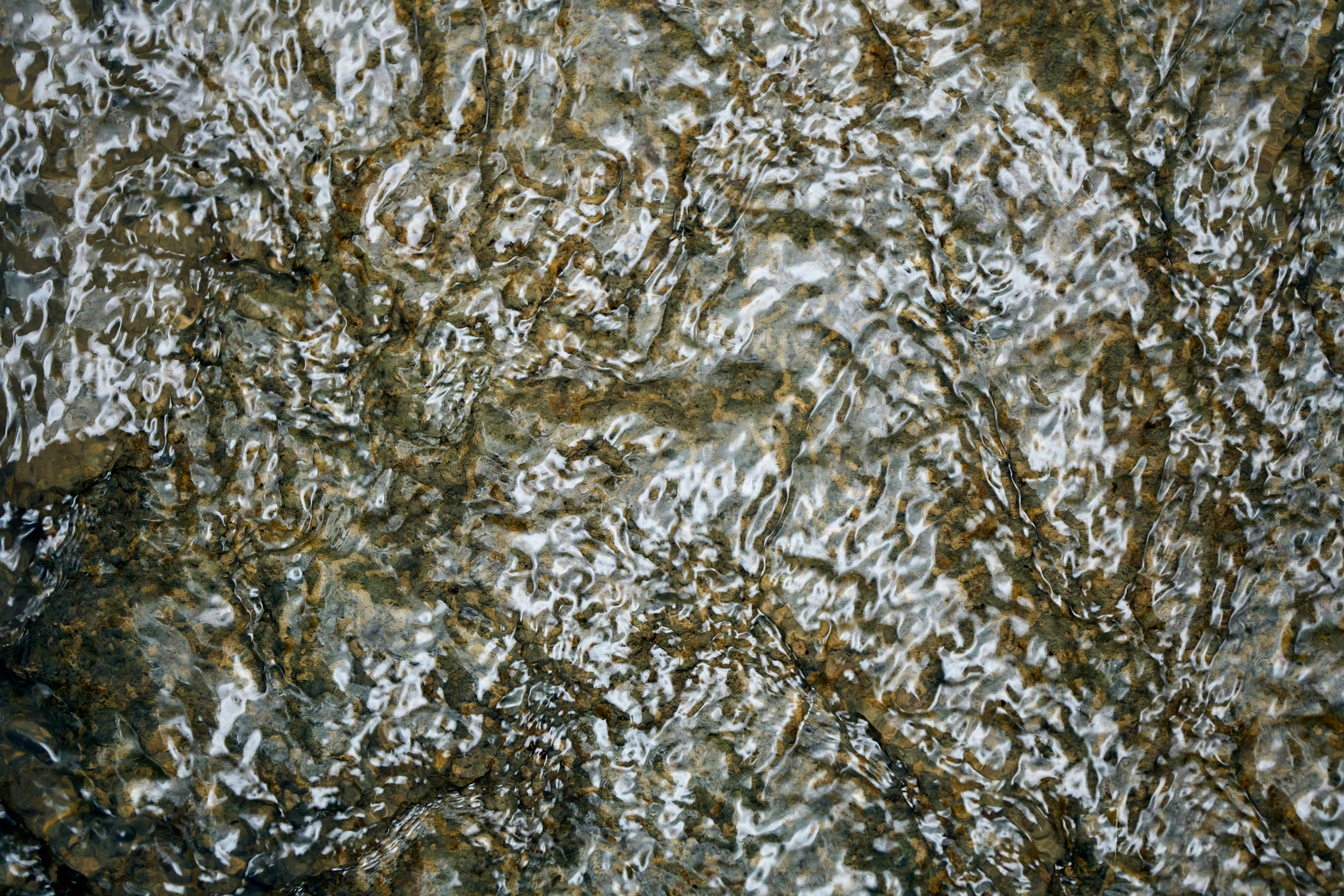 Photo by wolfgang_hasselmann