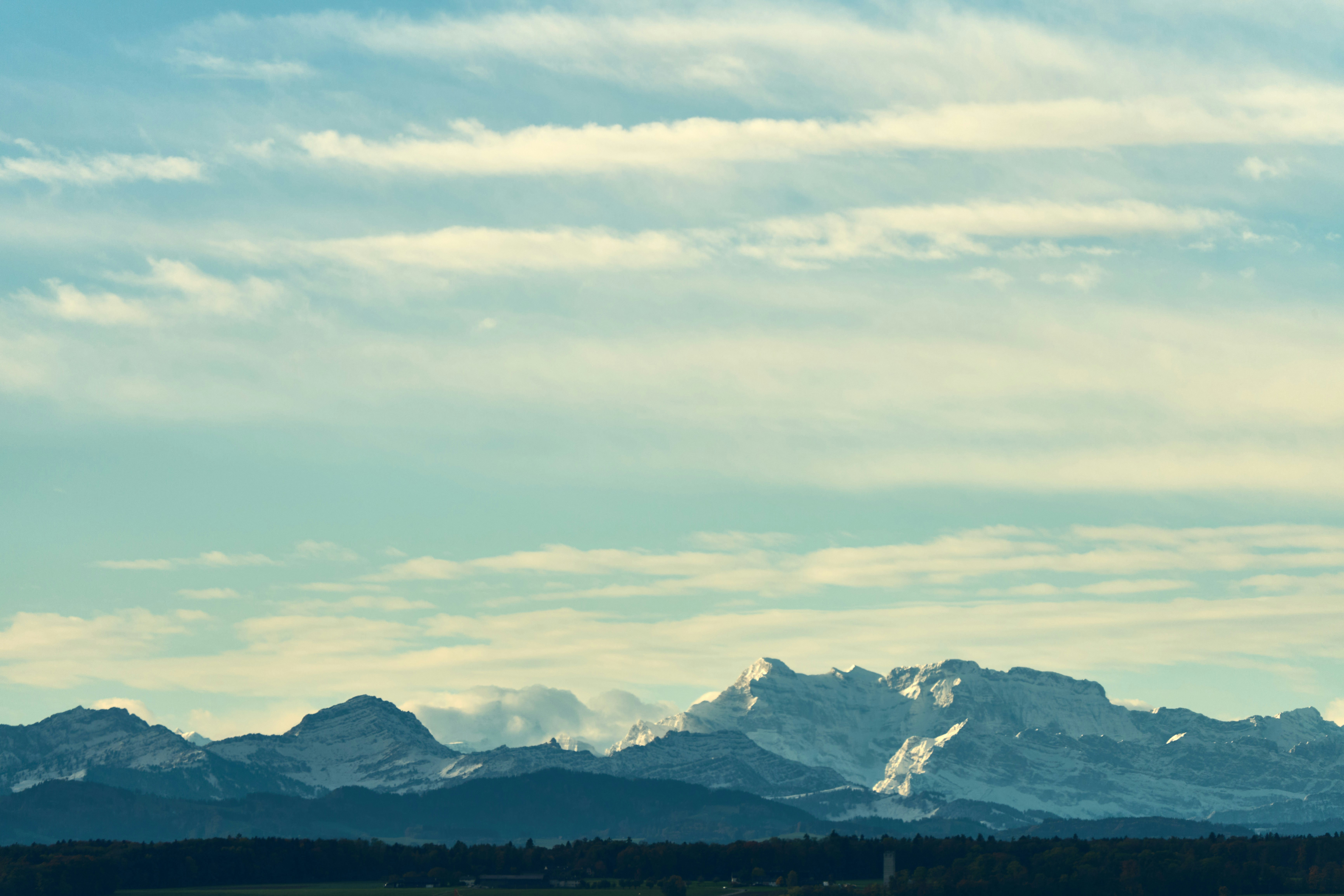 Photo by wolfgang_hasselmann