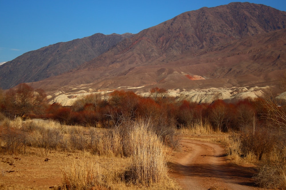 Un camino de tierra frente a una cordillera