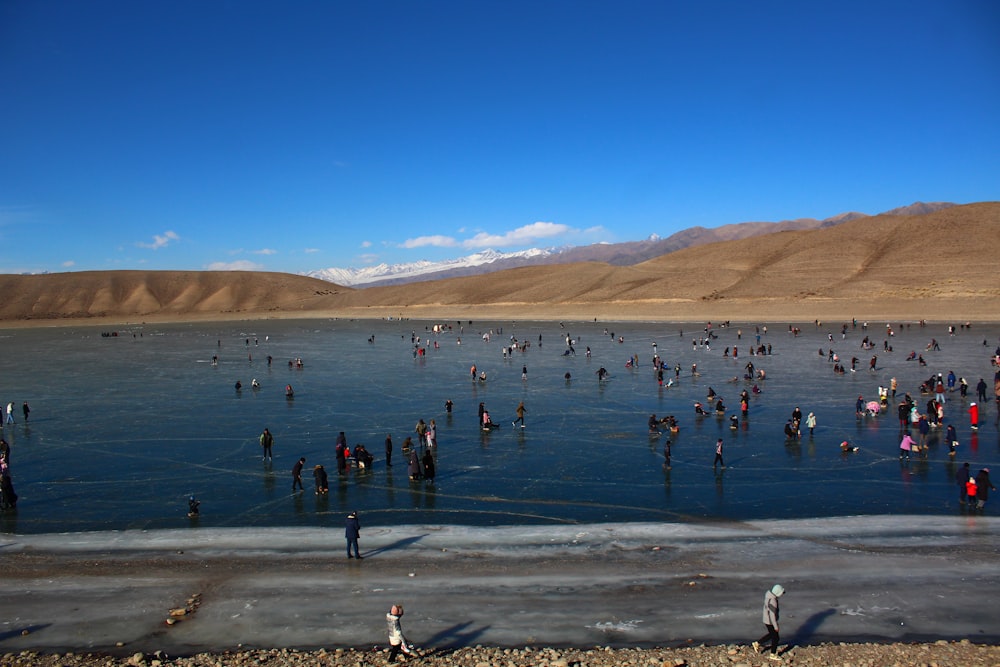 a large group of people standing in a body of water