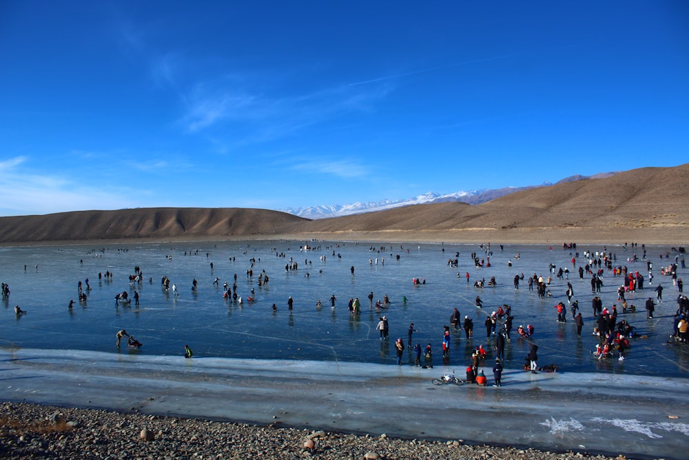 a large group of people standing in a body of water