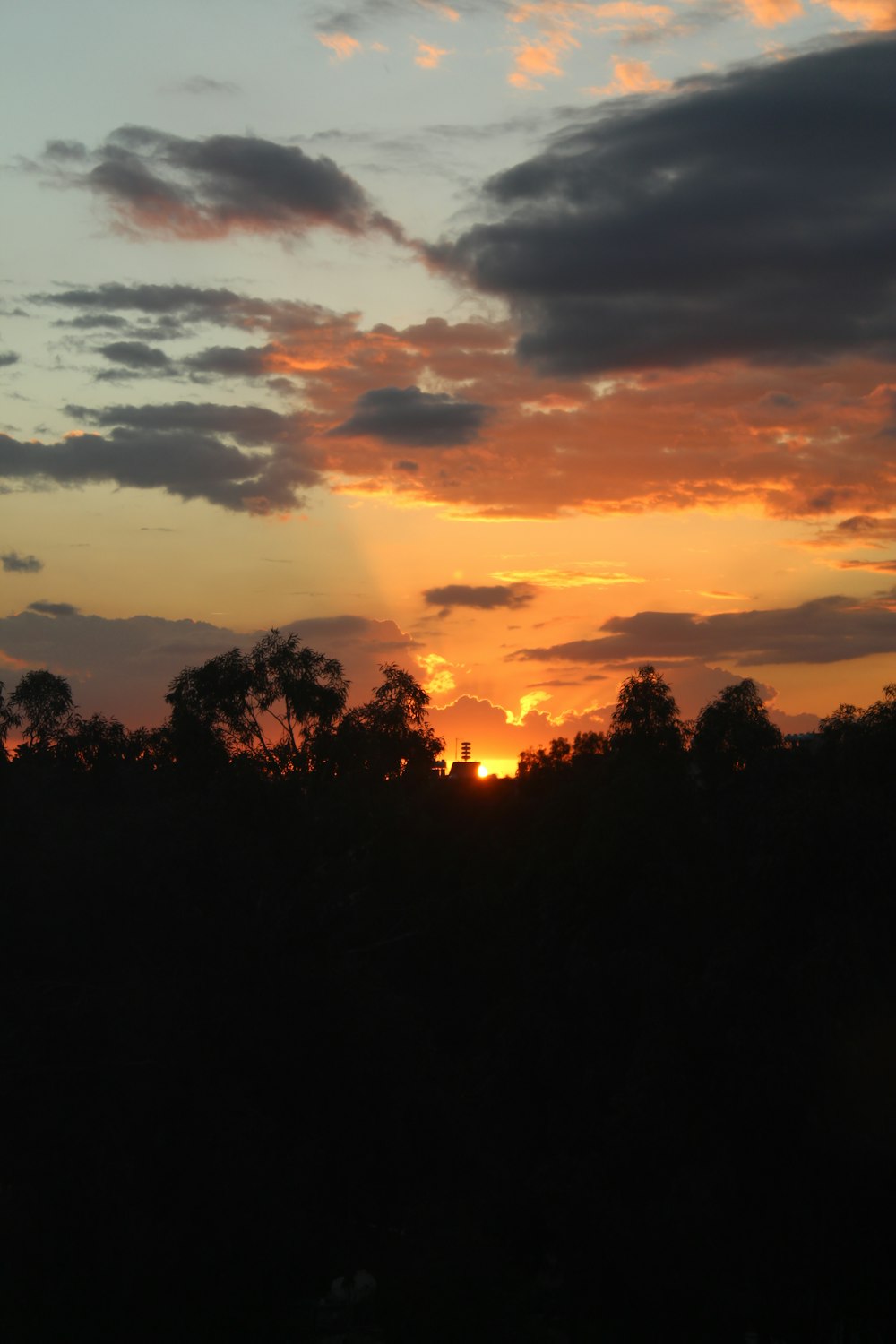 the sun is setting over the trees in the distance