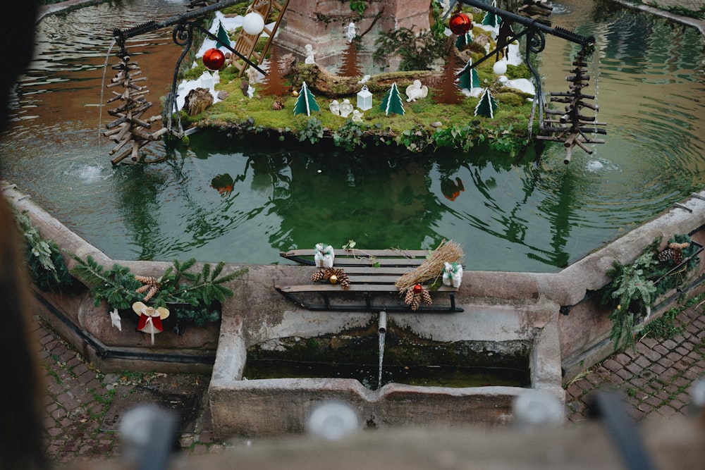 a pond filled with lots of green plants