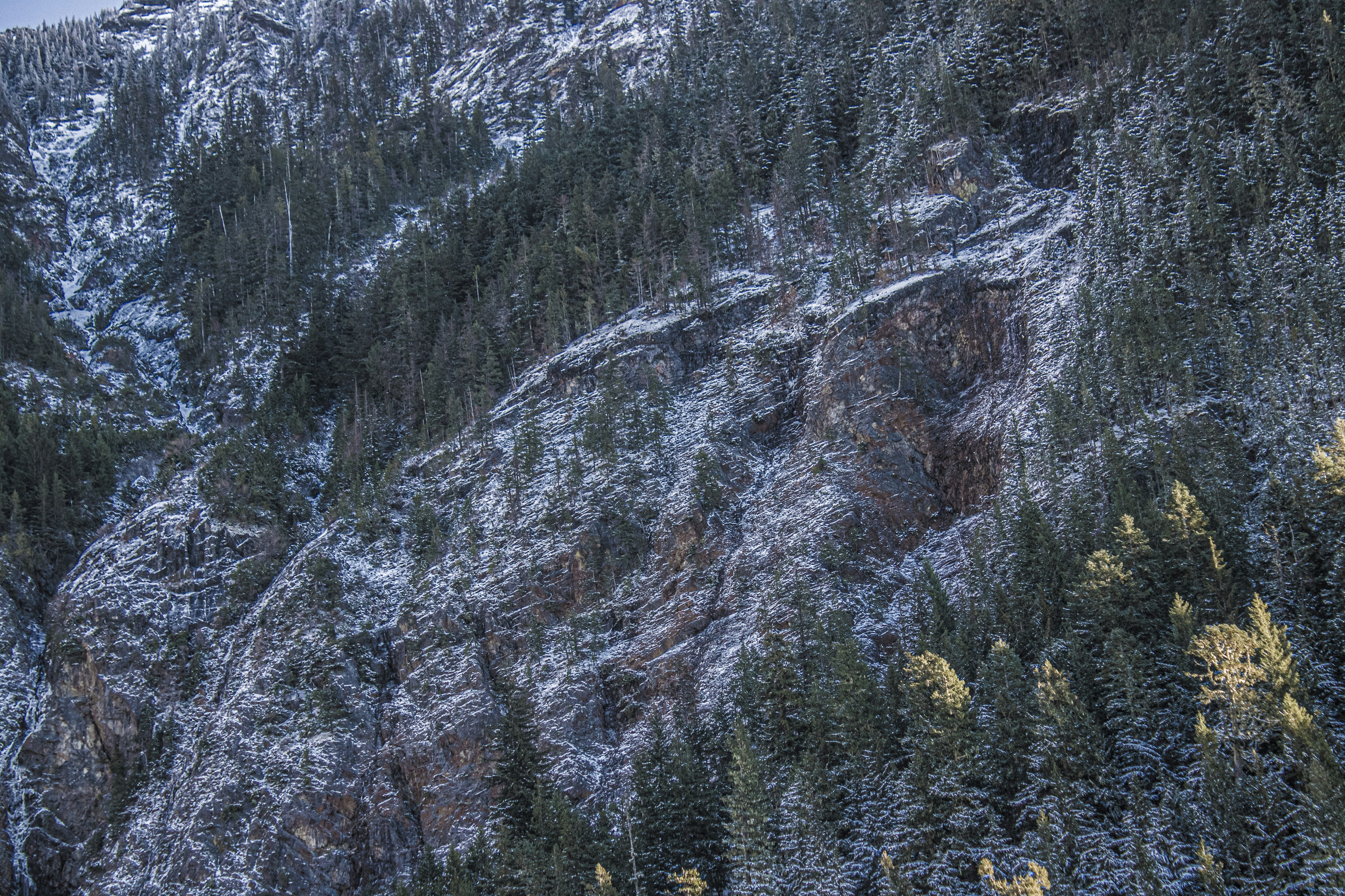 Photo by prphotography262