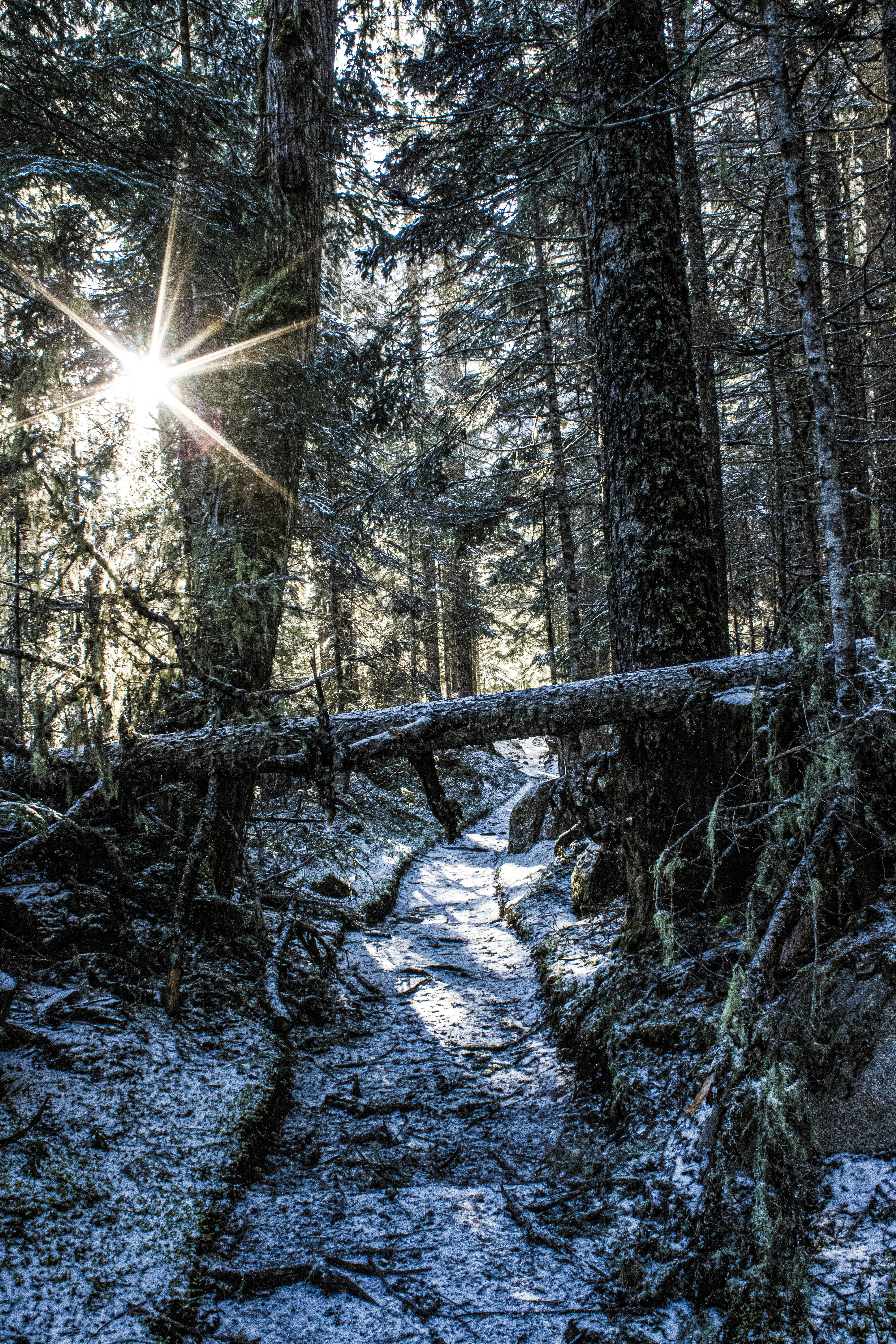 Photo by prphotography262