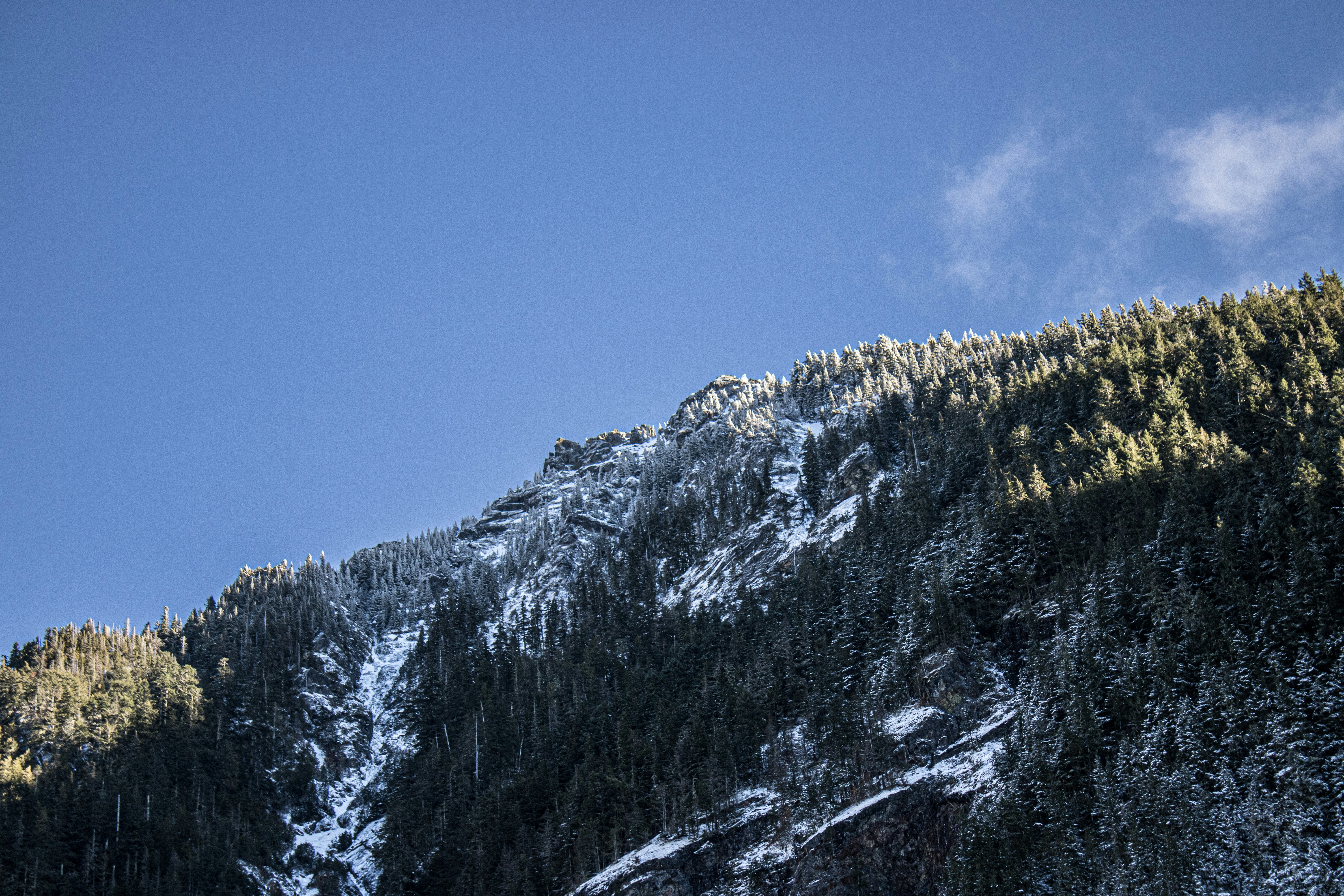 Photo by prphotography262