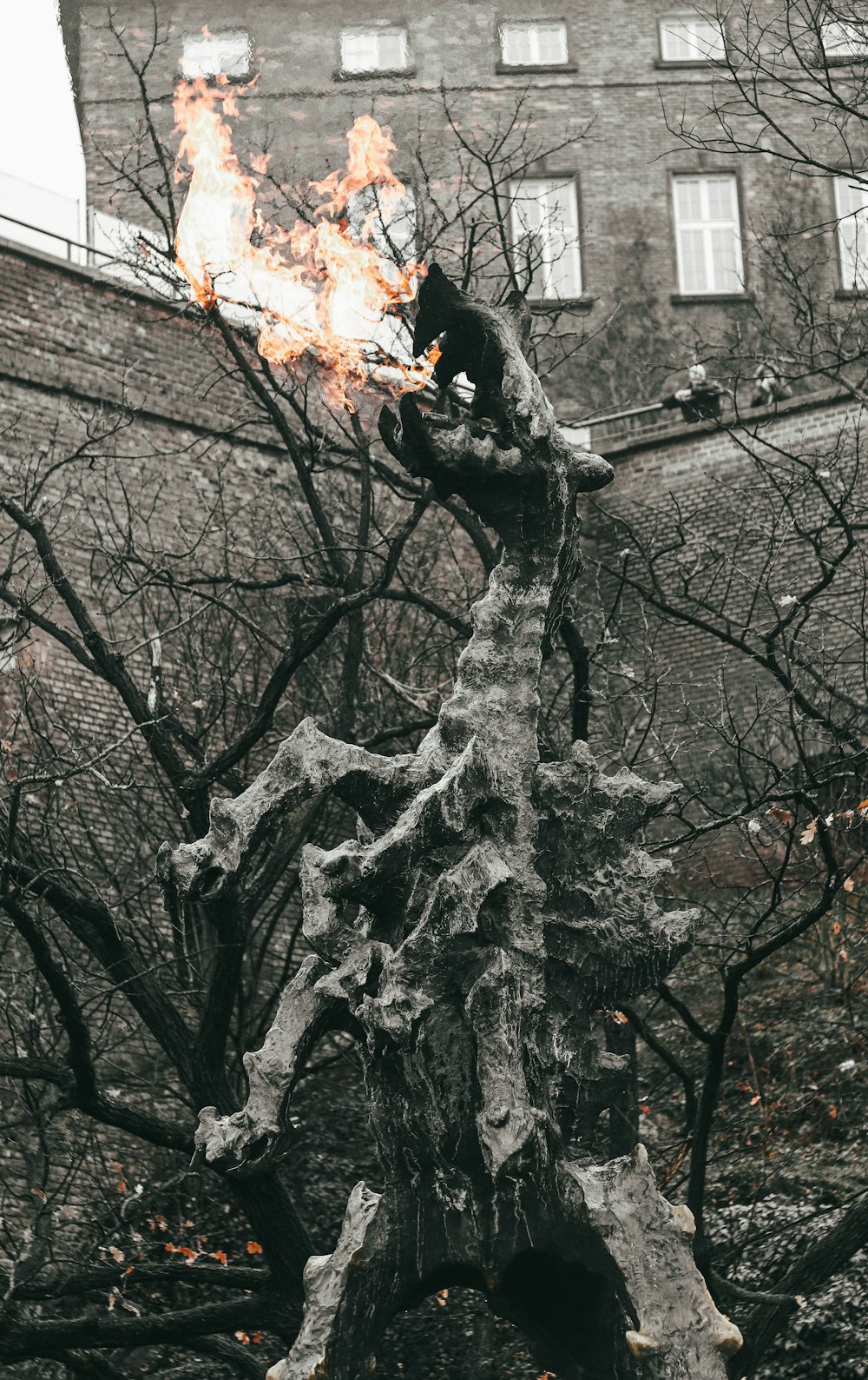 une borne-fontaine sur un arbre avec un bâtiment en arrière-plan