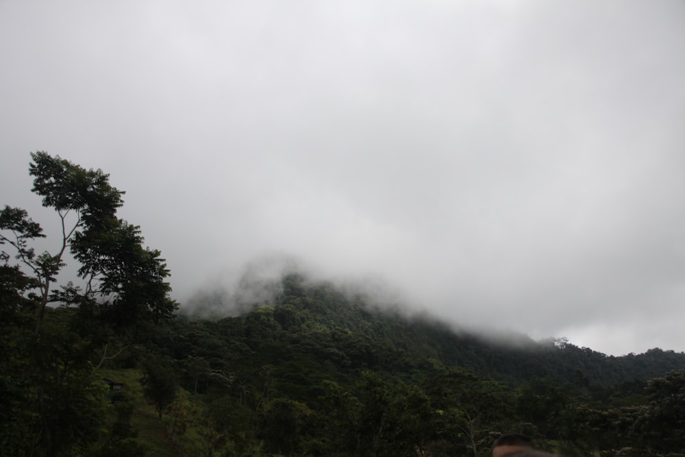 a mountain covered in clouds and trees on a cloudy day