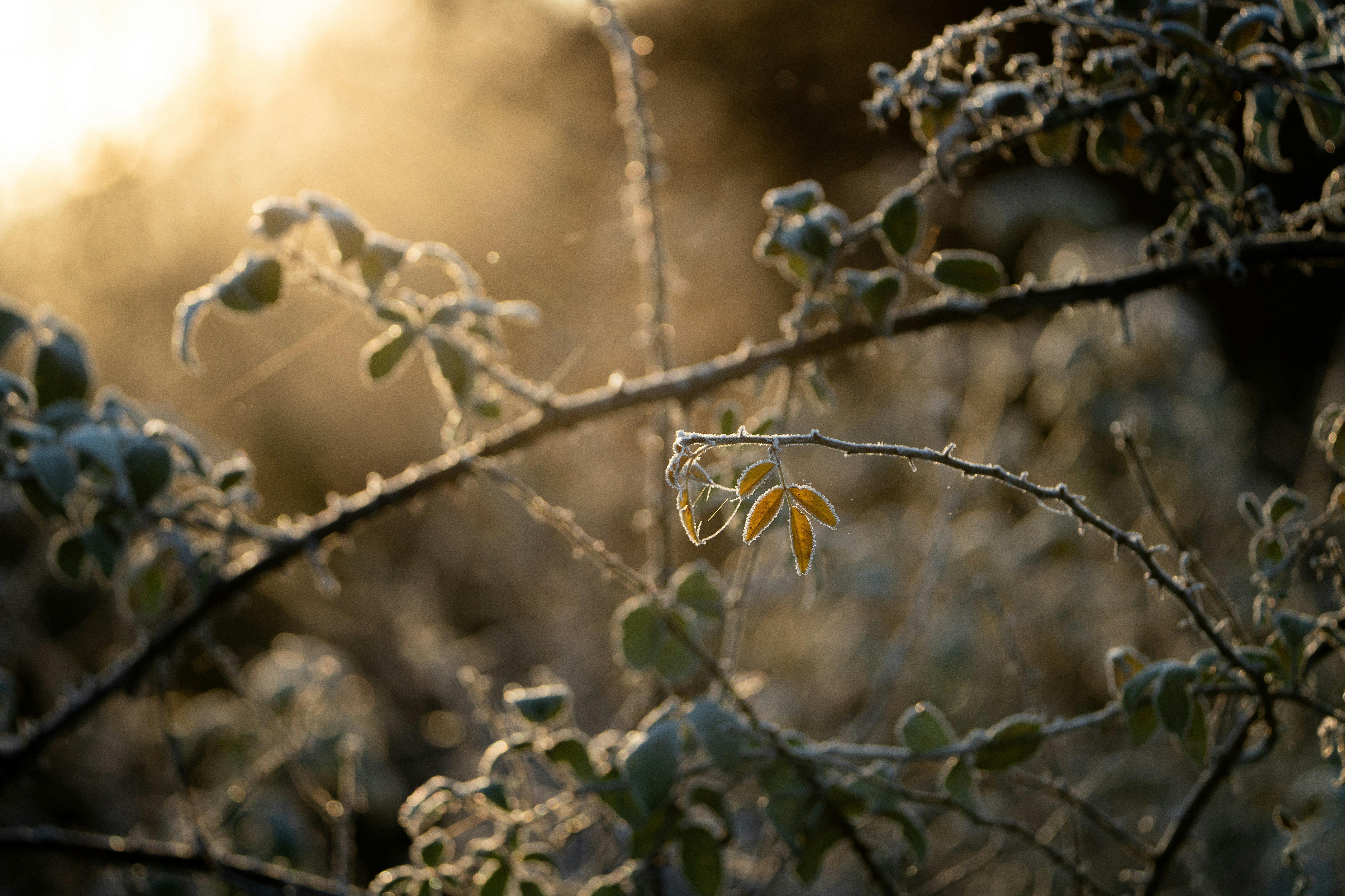 Photo by kemar8975