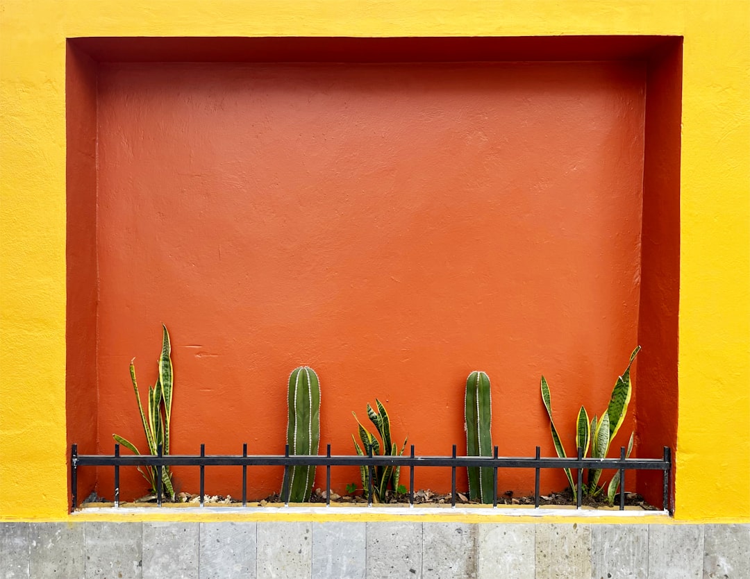 a yellow and orange wall with a planter in front of it,