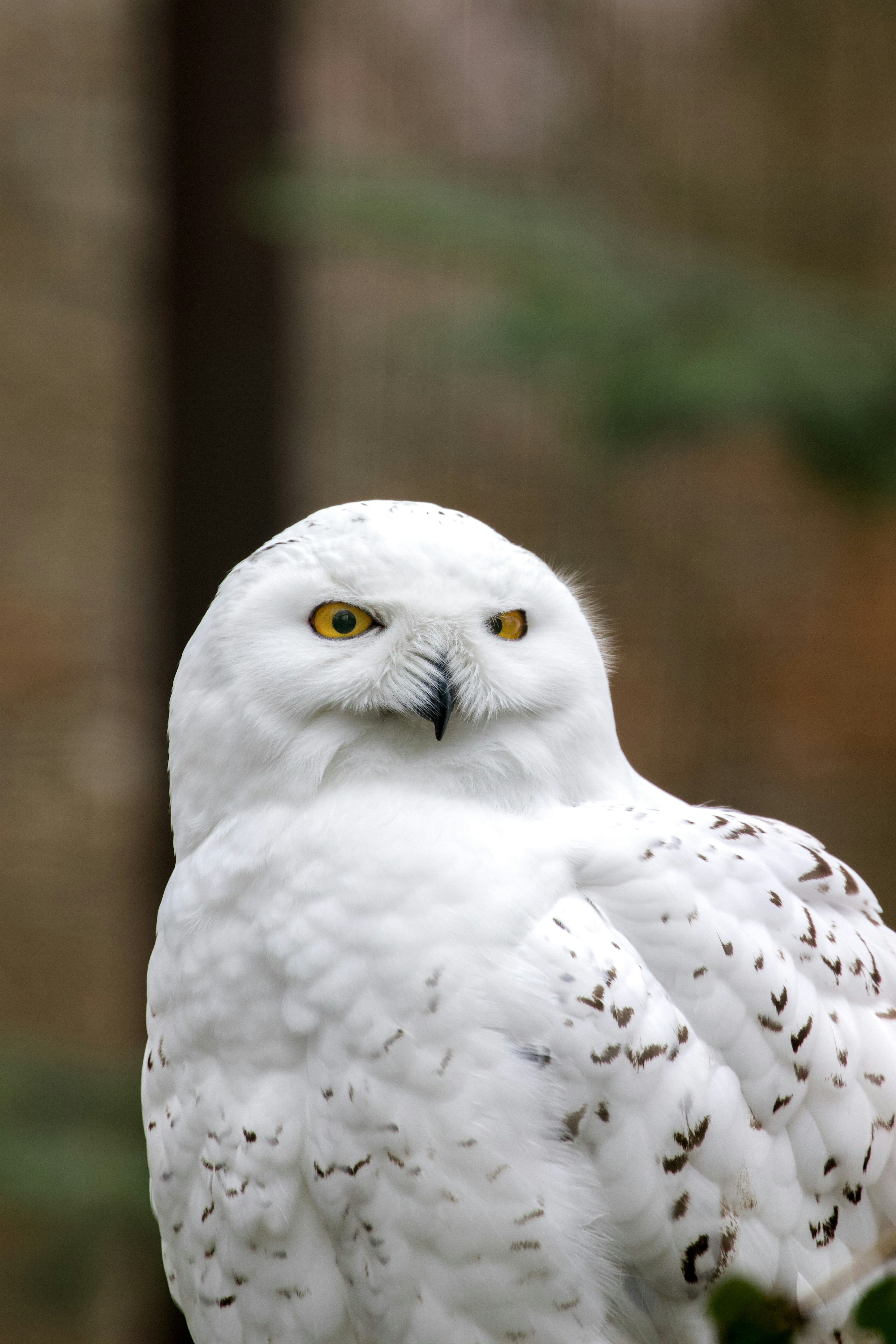 Photo by jakub_neskora