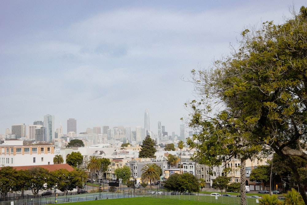 a park with a view of a city in the distance