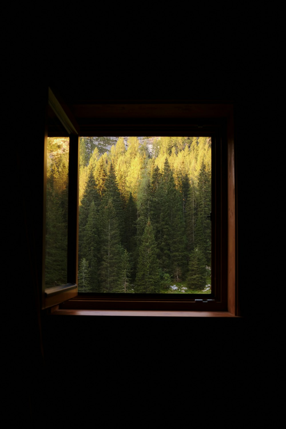 ein Fenster mit Blick auf einen Wald draußen