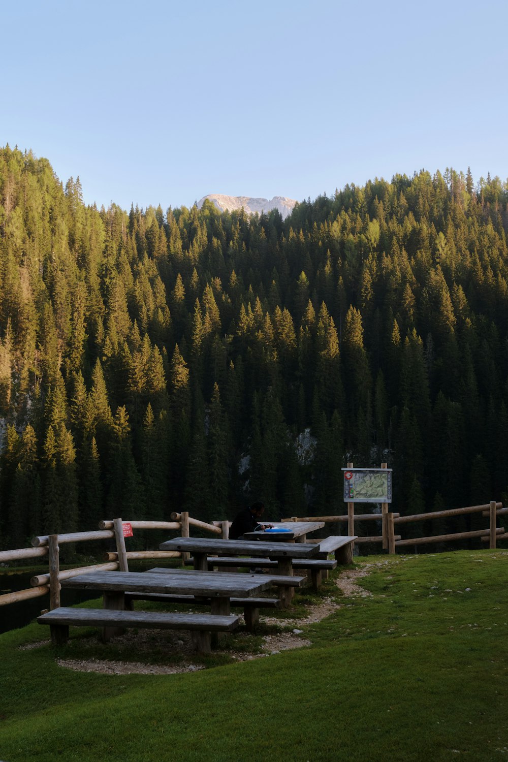 a grassy field with picnic tables in front of a mountain