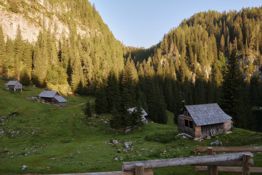 a small cabin in the middle of a forest