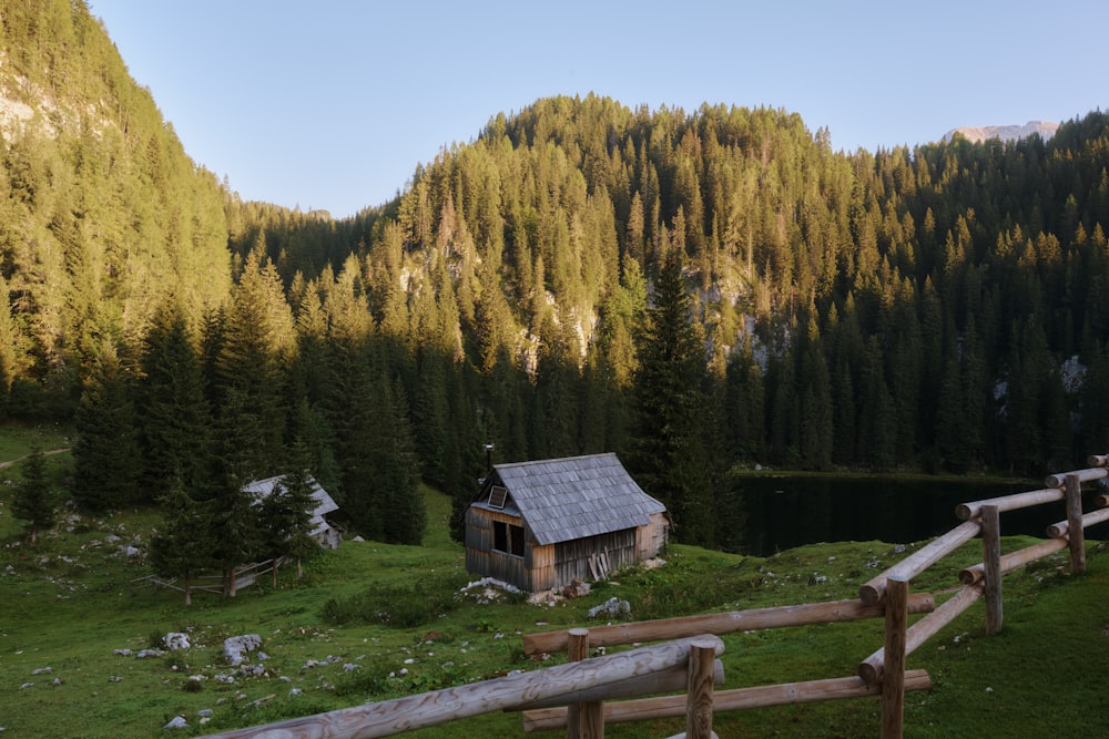 a cabin in the middle of a field with a mountain in the background