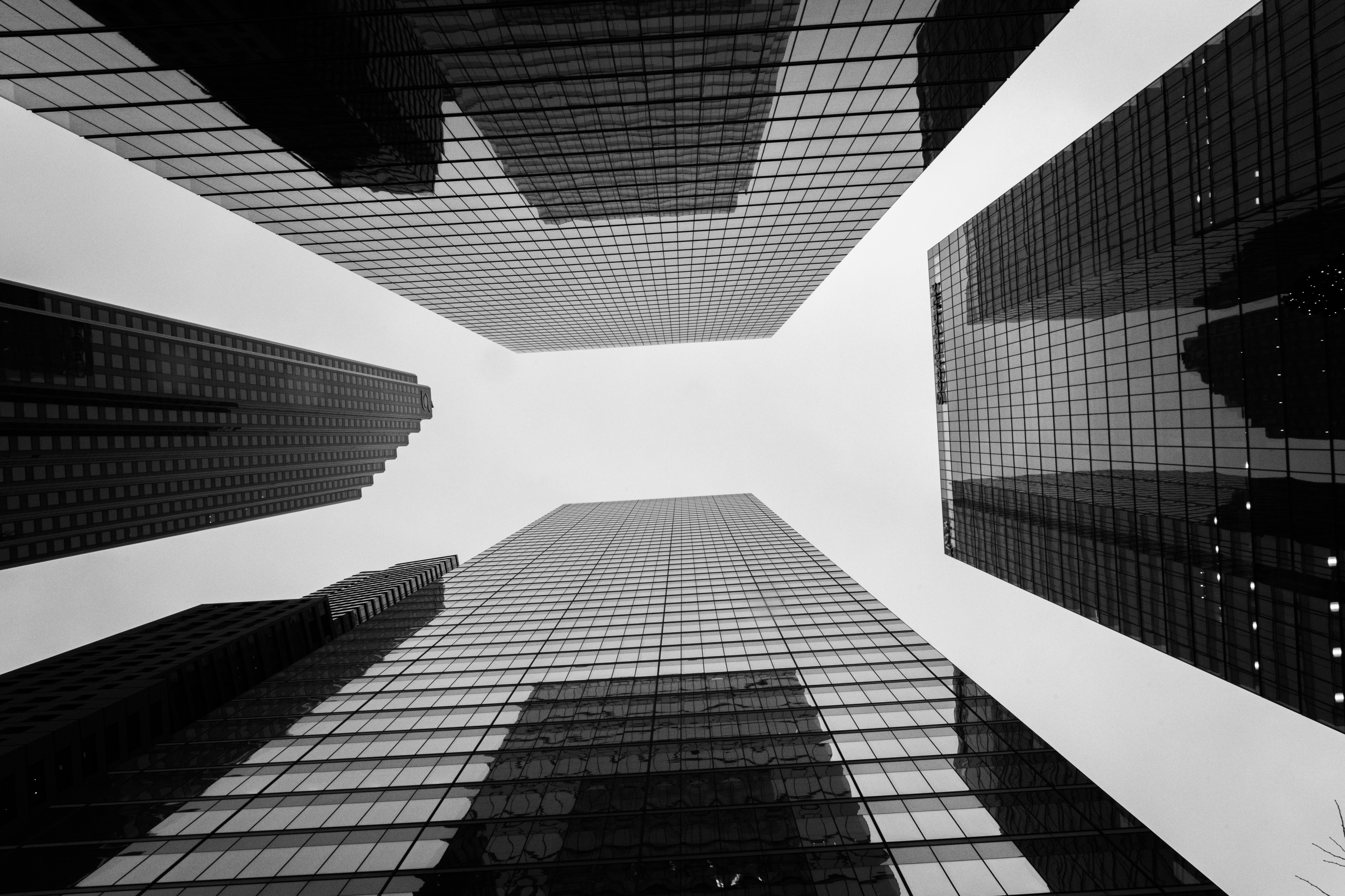 Photo by jonathangongphotography