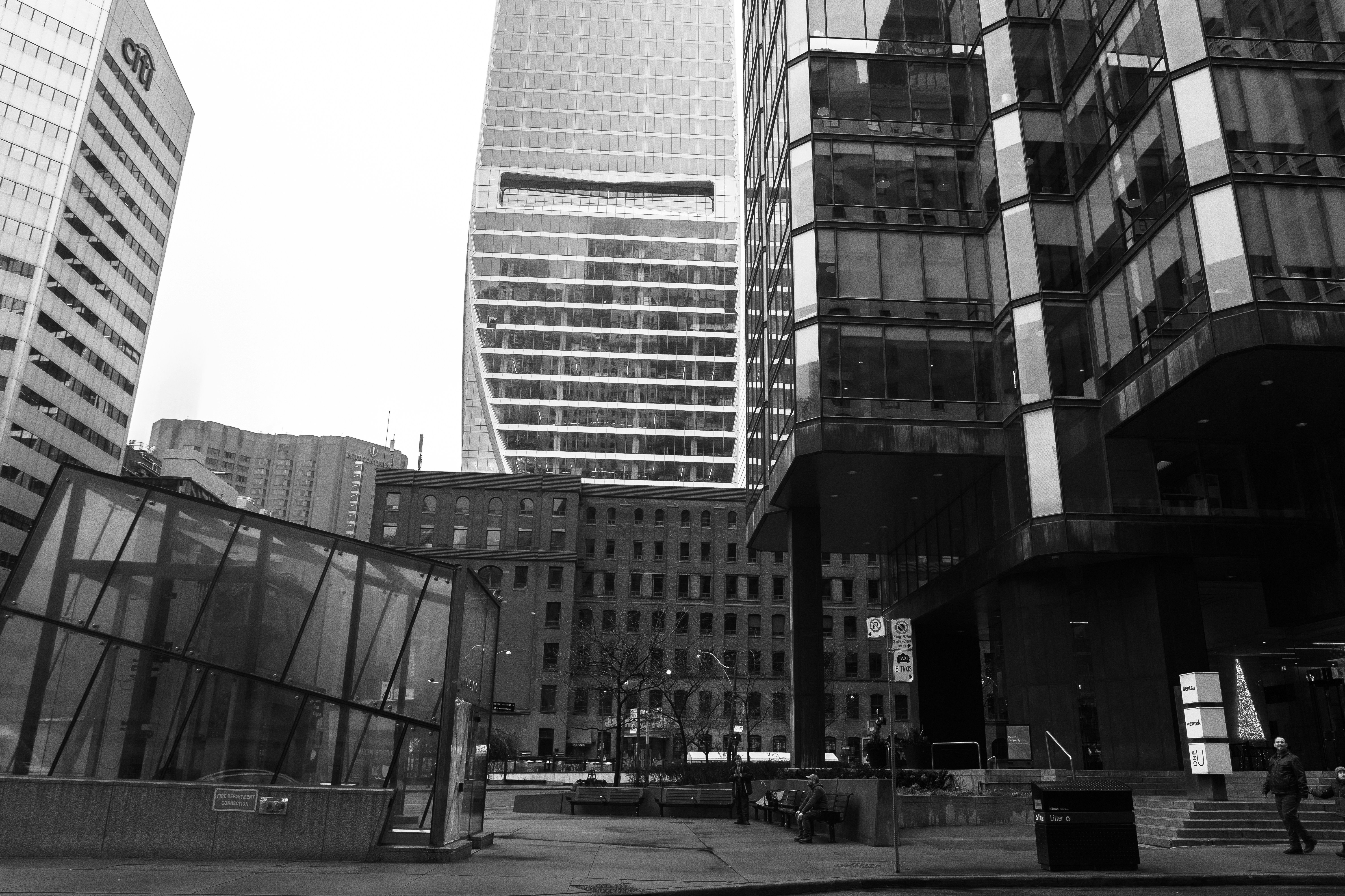 Photo by jonathangongphotography