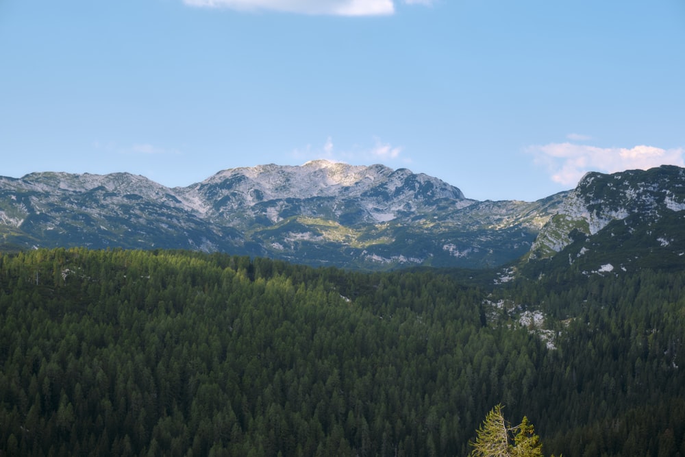 a view of a mountain range with trees in the foreground