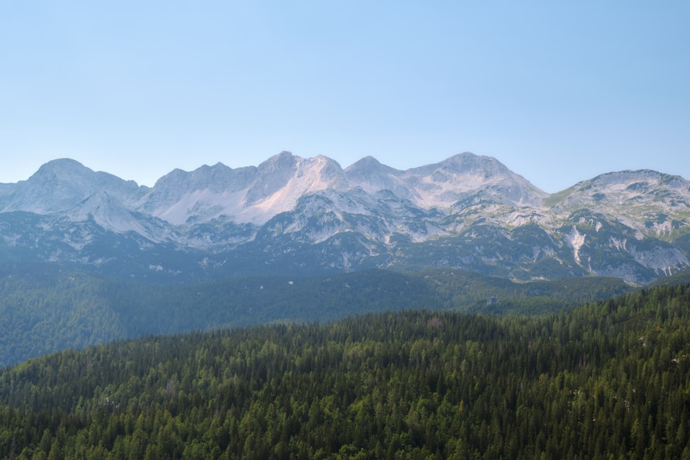 a view of a mountain range with trees in the foreground