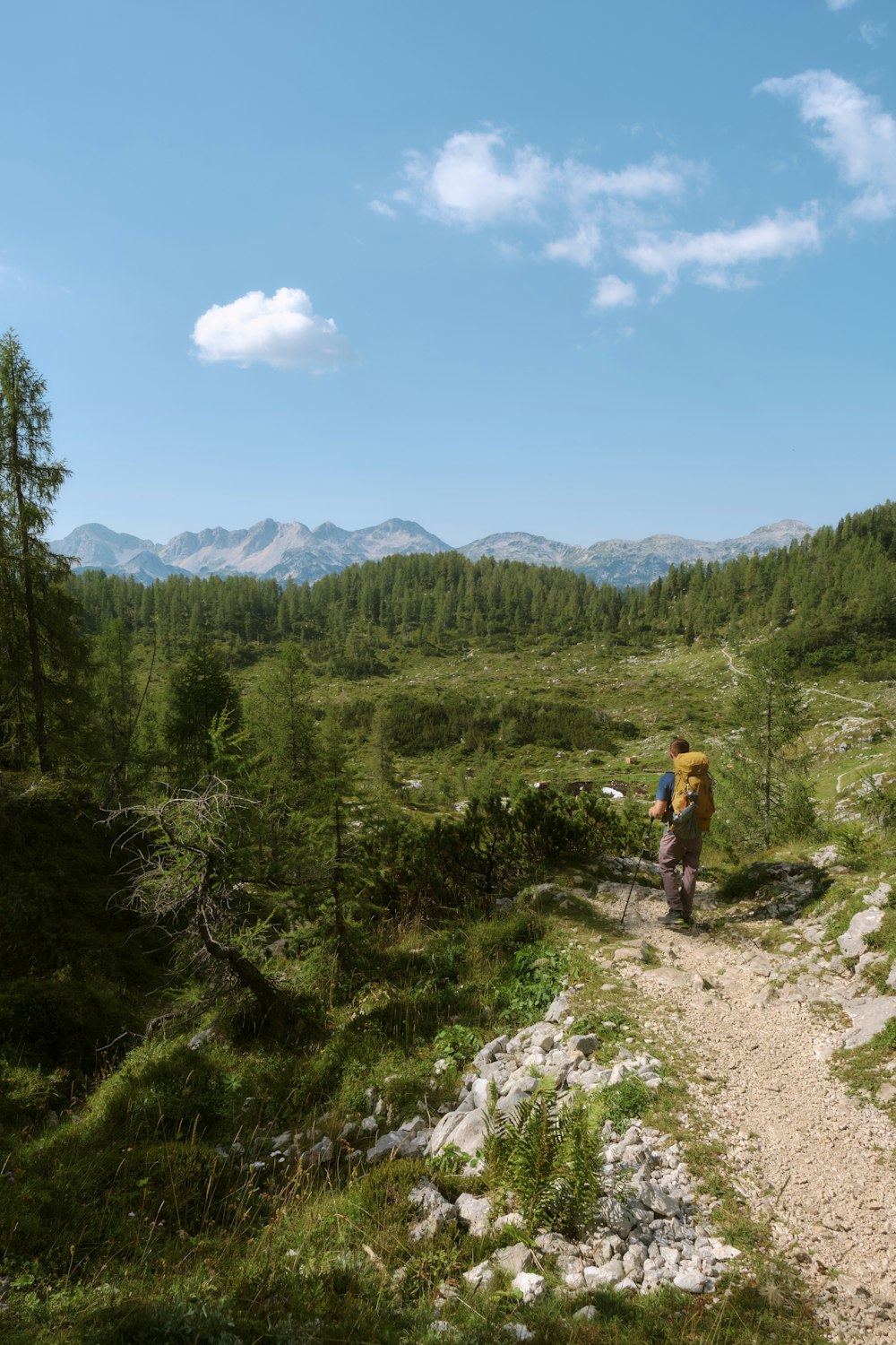 a person with a backpack walking up a trail