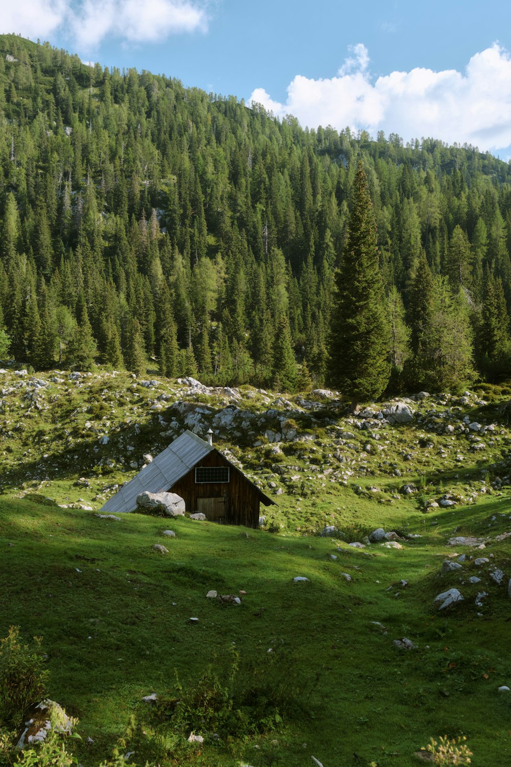 a small cabin in the middle of a grassy field