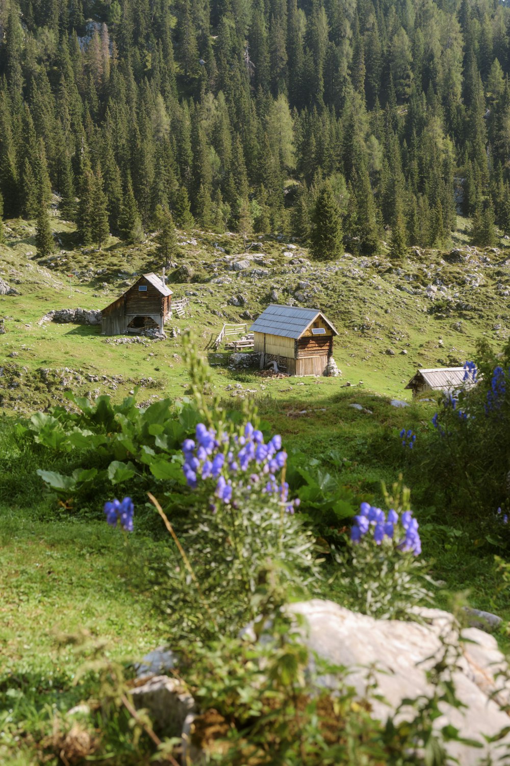 a couple of houses sitting on top of a lush green hillside