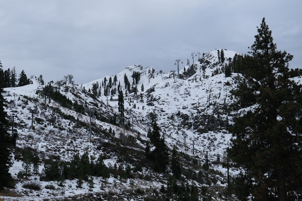 a snow covered mountain with trees on the side