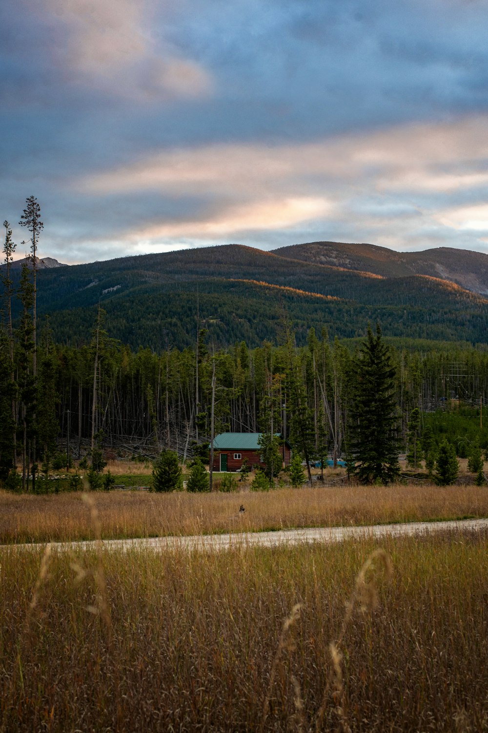 a house in the middle of a field with a mountain in the background