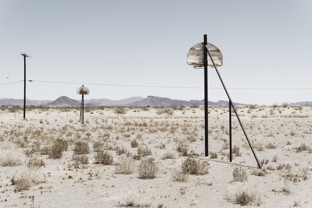 a bunch of poles in the middle of a desert