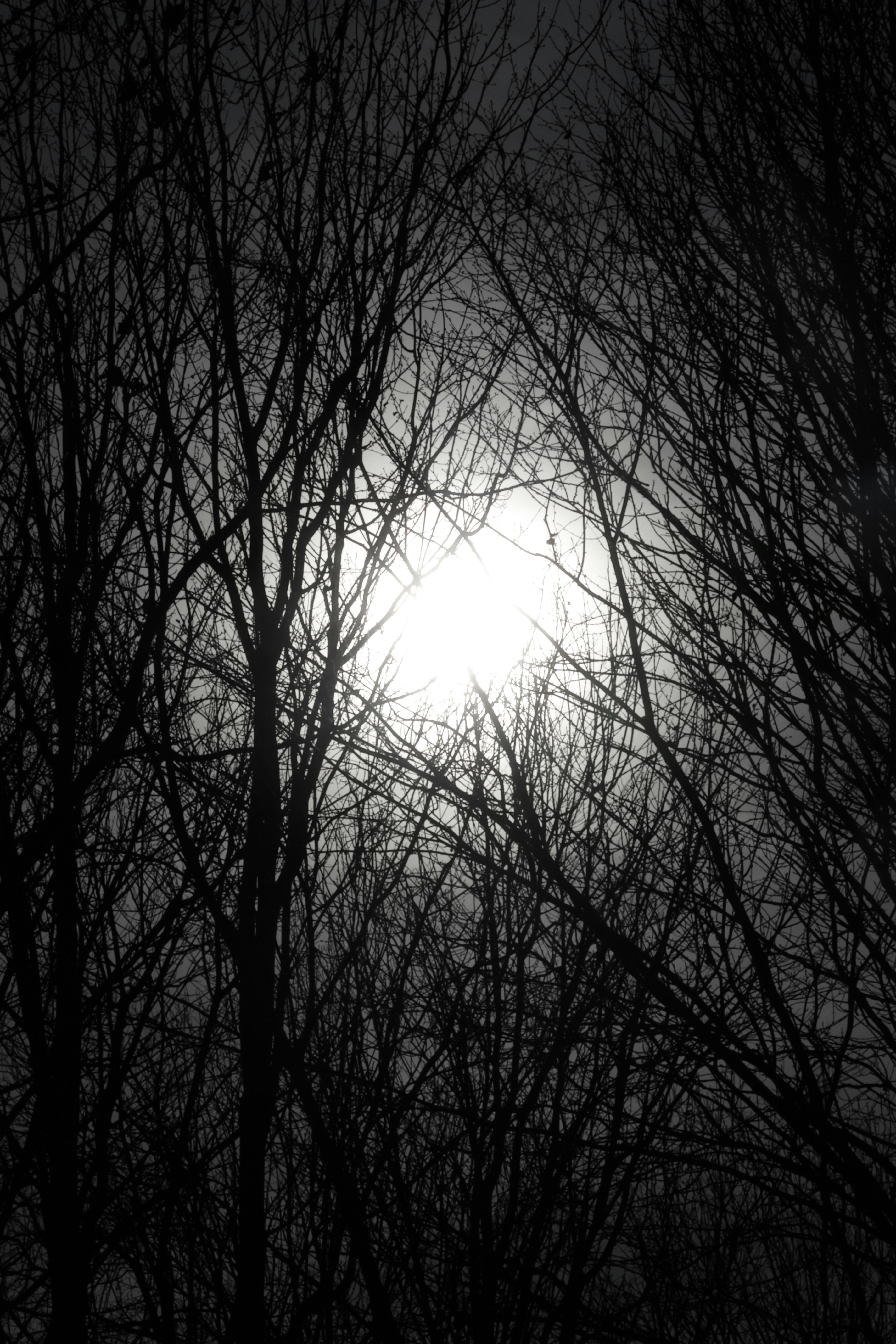 Photo by lizcai0