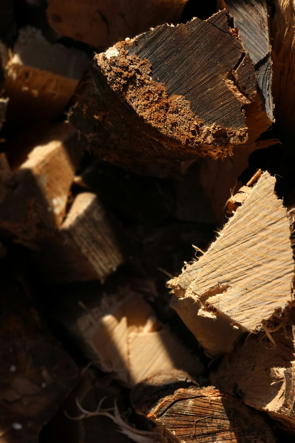 a pile of wood that has been cut in half