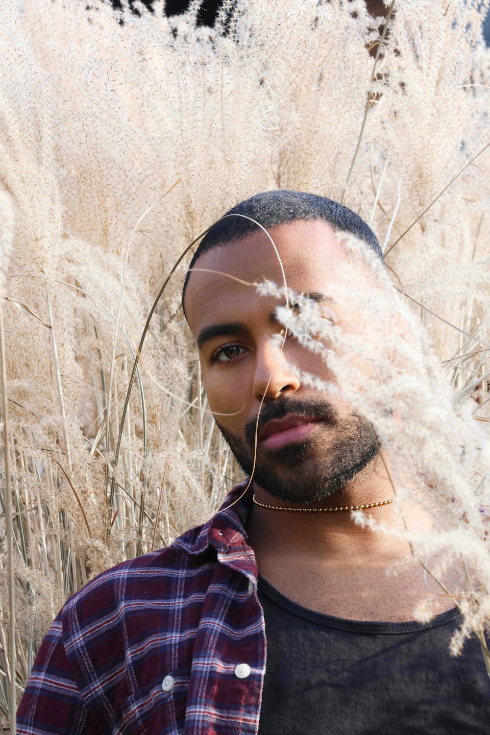 a man standing in a field of tall grass