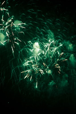 New Year's Eve party bus and limo rental