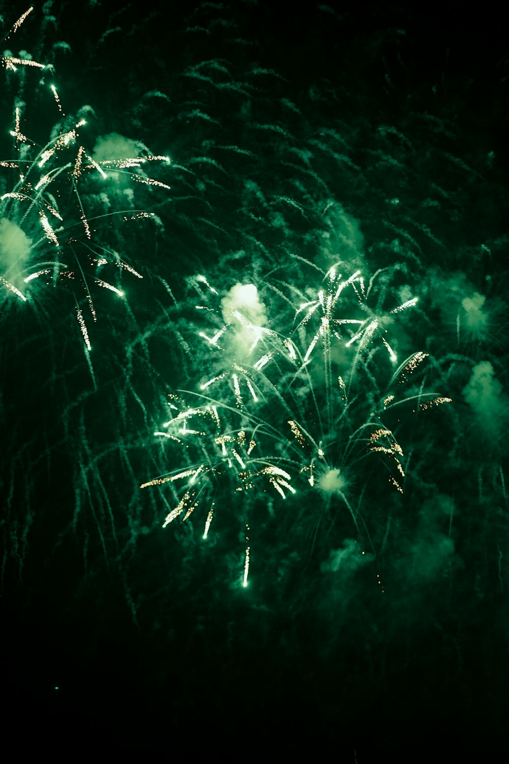 a green fireworks is lit up in the night sky