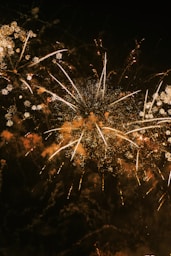 a large fireworks is lit up in the night sky