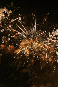 a large fireworks is lit up in the night sky